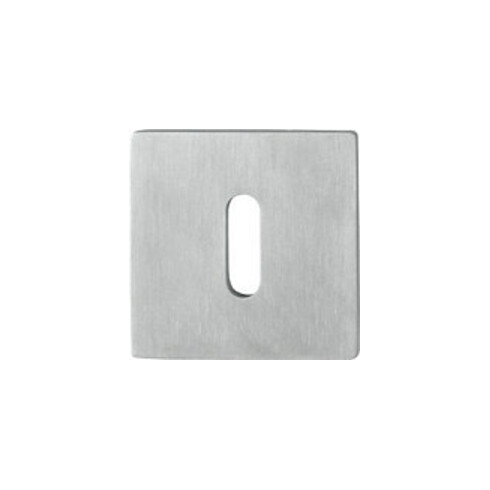 Paire de rosettes de clés E848NS VA F69 Epaisseur du blindage 2mm OB quad.