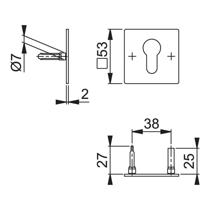 Paire de rosettes de clés E848NS VA F69 Epaisseur du blindage 2mm PZ quad.