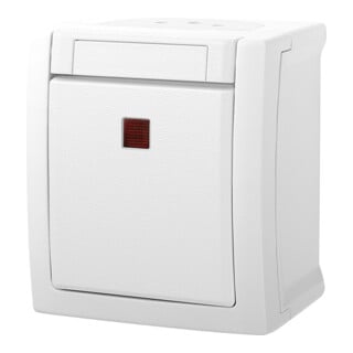 Panasonic Interrupteur de contrôle/de coupure 2 pôles FR-AP blanc