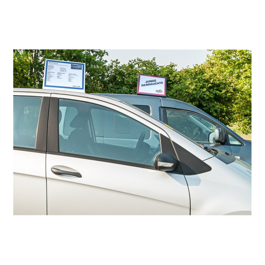 Panneau de toit en PVC pour voiture Eichner, noir, avec bouton-poussoir.