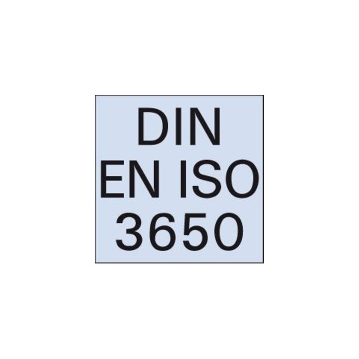 Parallel-Endmass 100,00 mm Tol. 0 Kern