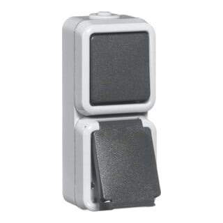 Peha Combinaison grande interrupteur/prise D 6666 WAB