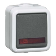 Peha Interrupteur à bascule avec témoin lumineux 10A 250V D 626 WAB GLK-3