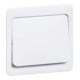 Peha Interrupteur bascule D 80.640.02 Z WU