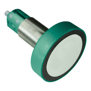 Pepperl+Fuchs Ultraschallsensor 191241