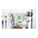 Perche télescopique TP 320 Bosch avec sac de protection-4