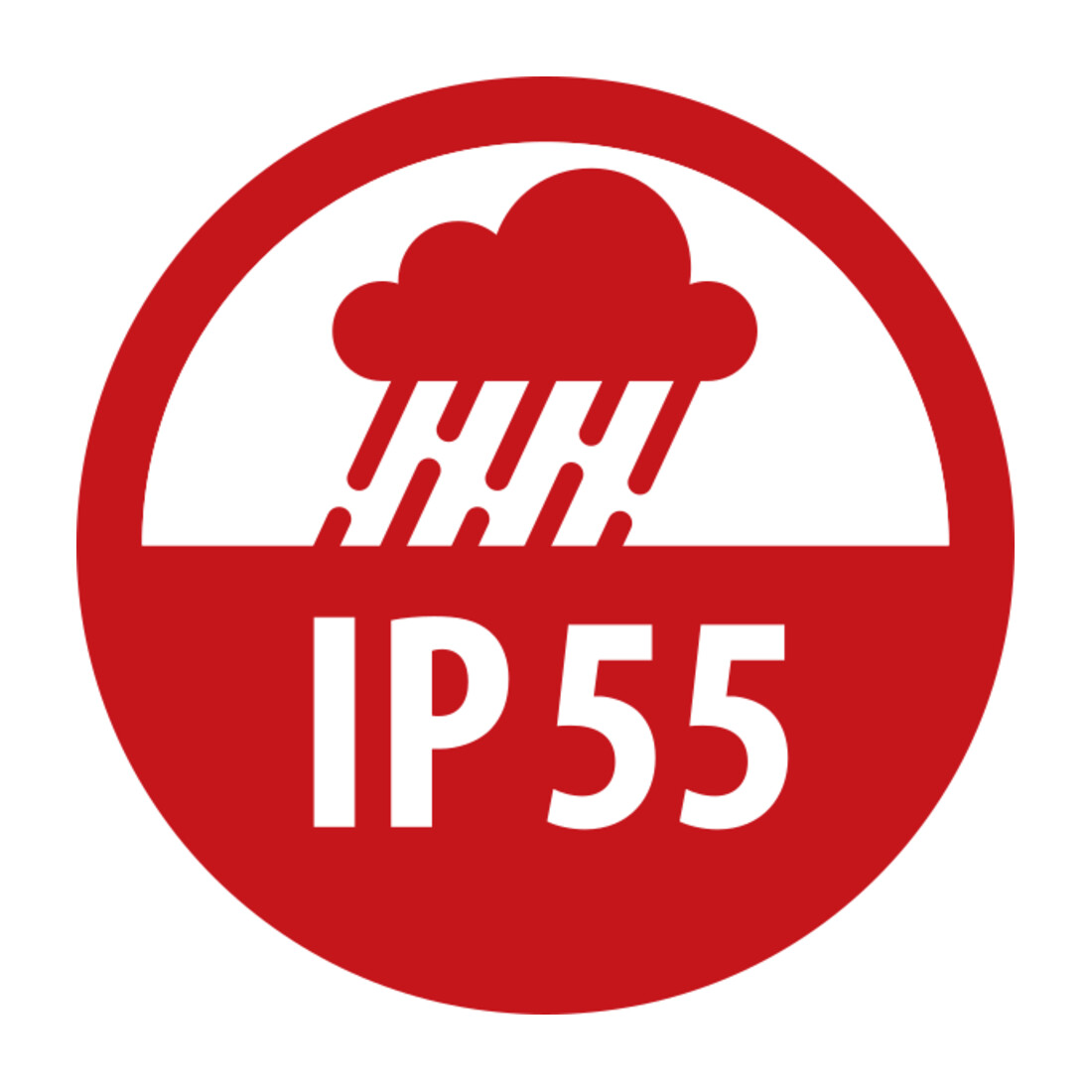 Persoonlijke beschermingsstekker BDI-S 2 30 IP55