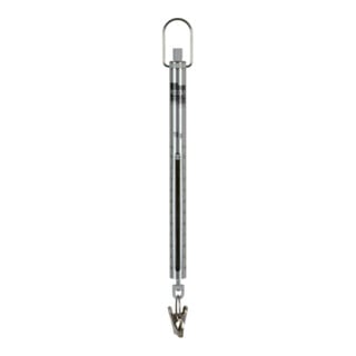 PESOLA Balance à ressort Micro 10g