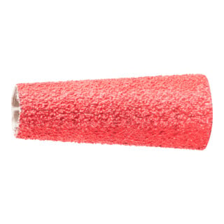 Pferd Anneau abrasif CO-Cool 20x63mm K60