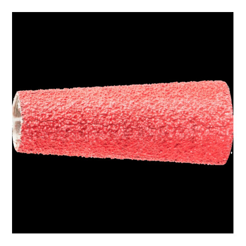 Pferd Anneau abrasif CO-Cool 20x63mm K60