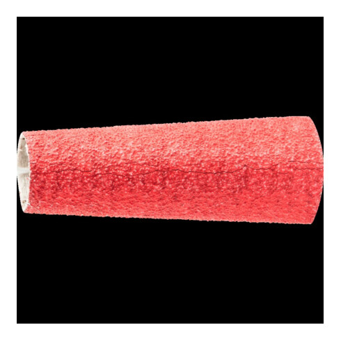 Pferd Anneau abrasif CO-Cool 20x63mm K80