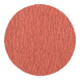 Pferd COMBIDISC Feuille abrasif INOX-F 50 mm K80-1