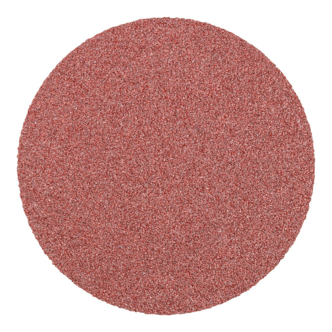 Pferd COMBIDISC Schleifblatt Forte 75mm K60