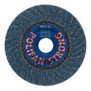 PFERD Disco lamellare POLIFAN PFC SGP ACCIAIO FORTE-4