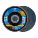 Pferd Disque abrasif éventail Z120PSF droit 125 mm K120