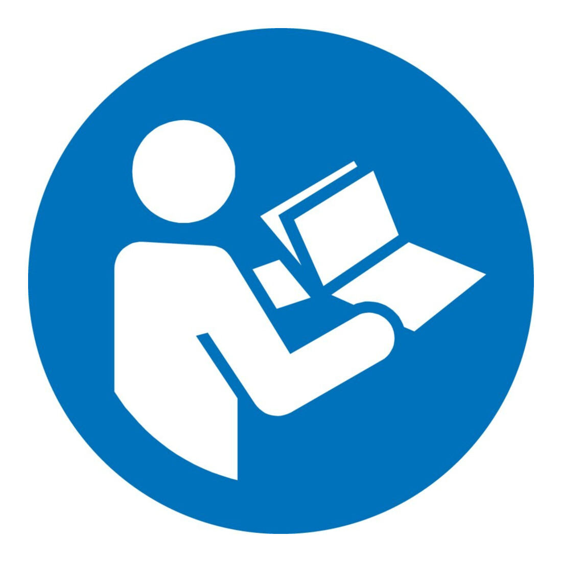Pferd Fächerschleifer CO-COOL 60x30mm K60