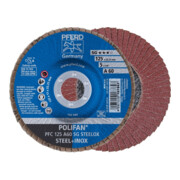 Pferd Fächerschleifscheibe A 60SG gewölbt 125mm K60
