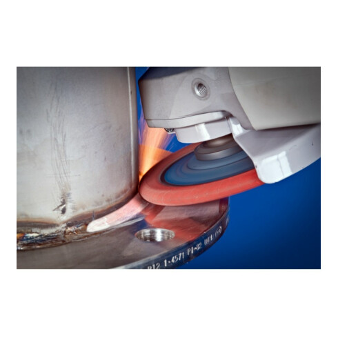 Pferd Fächerschleifscheibe CO-SGP-CURVE L 125mm K60