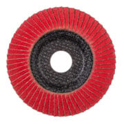 Pferd Fächerschleifscheibe COFREEZE gewölbt 115mm K36-4