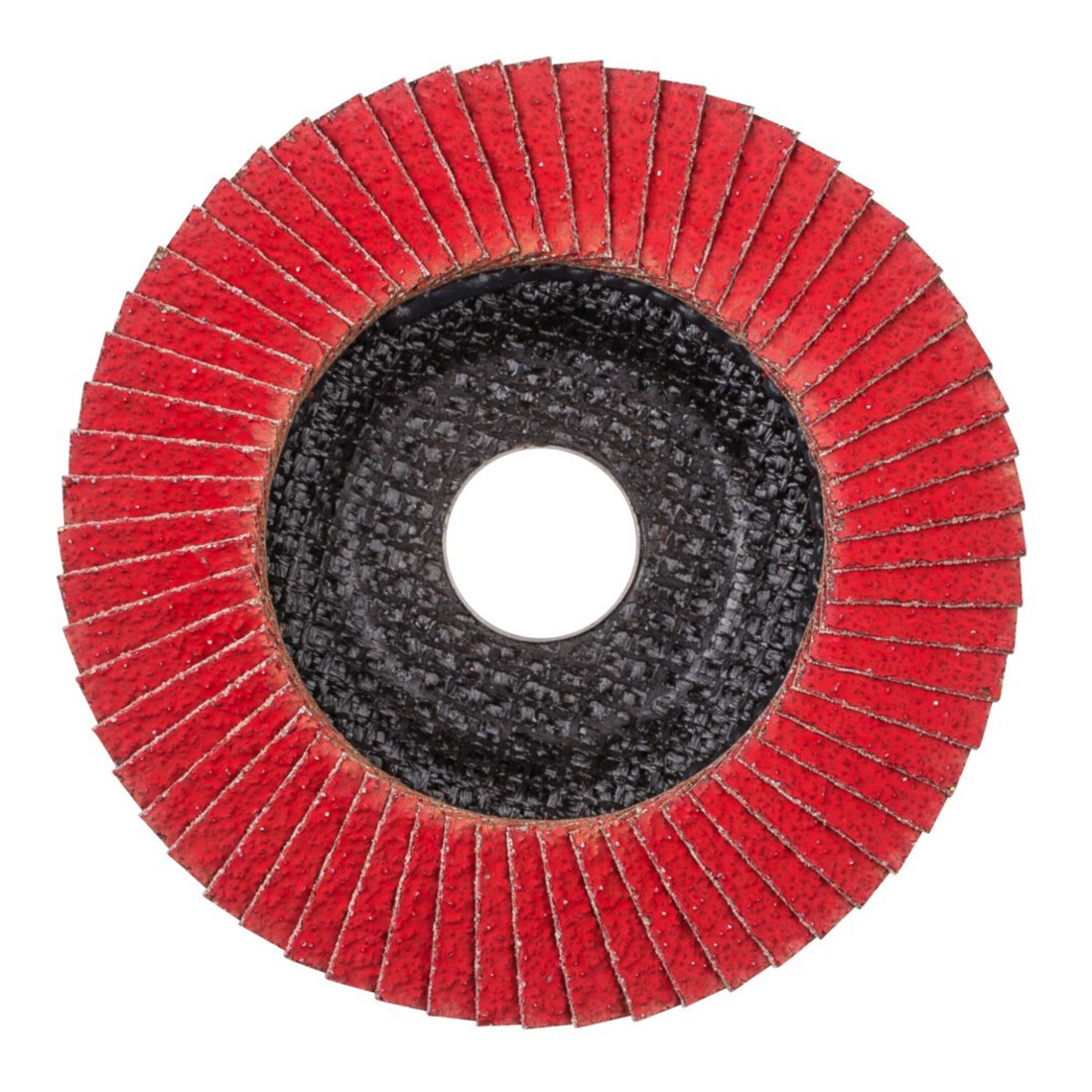 Pferd Fächerschleifscheibe COFREEZE gewölbt 115mm K36