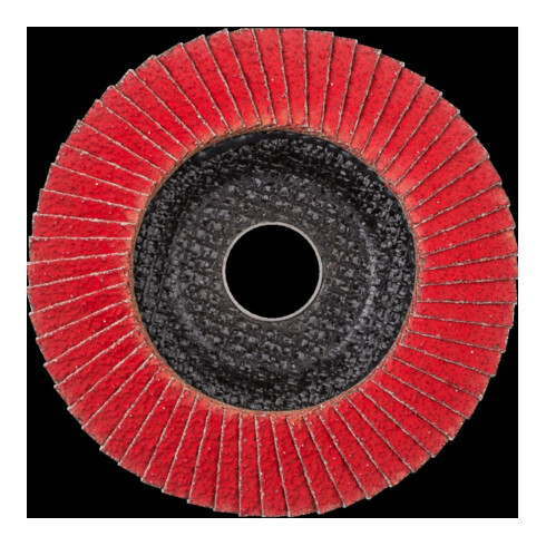 Pferd Fächerschleifscheibe COFREEZE gewölbt 115mm K50