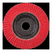 Pferd Fächerschleifscheibe COFREEZE gewölbt 125mm K36