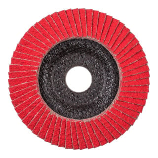 Pferd Fächerschleifscheibe COFREEZE gewölbt 125mm K36