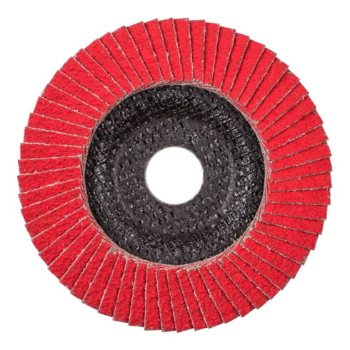 Pferd Fächerschleifscheibe COFREEZE gewölbt 125mm K36