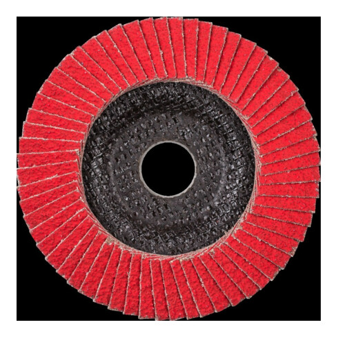 Pferd Fächerschleifscheibe COFREEZE gewölbt 125mm K50