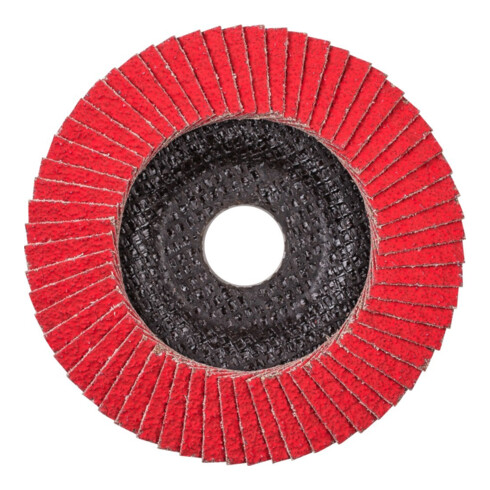 Pferd Fächerschleifscheibe COFREEZE gewölbt 125mm K50