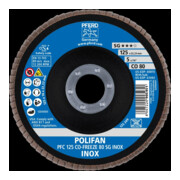 Pferd Fächerschleifscheibe COFREEZE gewölbt 125mm K80