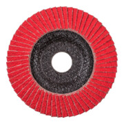 Pferd Fächerschleifscheibe COFREEZE gewölbt 125mm K80-4