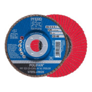 Pferd Fächerschleifscheibe SGP-COOL gerade 125mm CO40