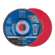 Pferd Fächerschleifscheibe SGP-COOL gewölbt 125mm CO40