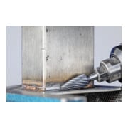 PFERD HM stiftfrees RBF 1225/6 INOX-3