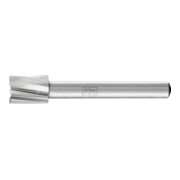 PFERD HSS Frässtift Zylinderform stirn A-ST Ø 10x13 mm Schaft-Ø 6 mm Z 1 universal grob