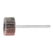 PFERD TOOLS Lamellenschijf