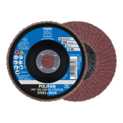 PFERD POLIFAN-Fächerscheibe PFF A SG STEELOX/16,0 100 mm-1
