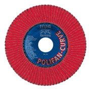 PFERD POLIFAN-Fächerscheiben PFR 125-M CO 60 SGP CURVE STEELOX-4