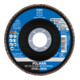 PFERD POLIFAN lamellenschijf PFC 115 CO-COOL 60 SG STEELOX