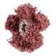 Pferd POLINOX Étoile abrasive T 25-2 A 80-1