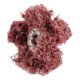 Pferd POLINOX Étoile abrasive T 25-2 A 80