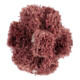 Pferd POLINOX Étoile abrasive T 38-3 A 80-1