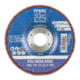 Pferd POLINOX Schleifdisc 125x22,23mm A 180-1