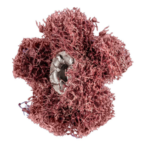 Pferd POLINOX Schleifstern T 25-2 A 80