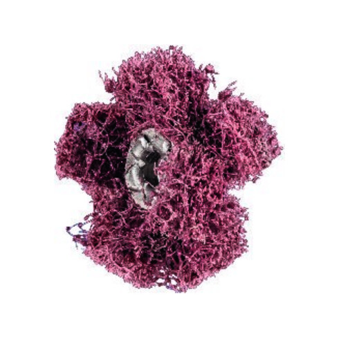 Pferd POLINOX Schleifstern T 38-3 A 80