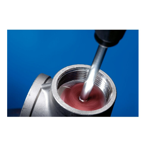 Pferd POLINOX Schleifstern T 38-3 A 80