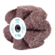 PFERD POLINOX Vlies-Schleifrad PNG Ø 100x50mm Gewinde 5/8-11 A100 für Feinschliff und Finish-1