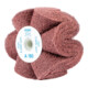 PFERD POLINOX Vlies-Schleifrad PNG Ø 100x50mm Gewinde M14 A180 für Feinschliff und Finish-1