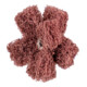 PFERD POLINOX Vlies-Schleifstern PNST Ø 50mm Gewinde 8-32 UNC A80 für Feinschliff und Finish-1